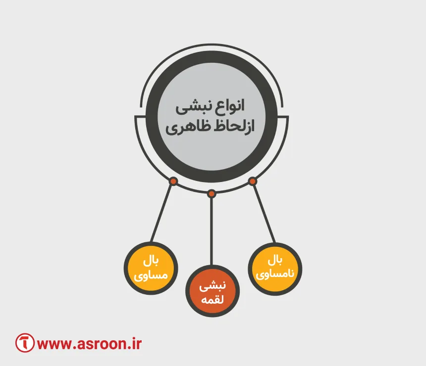 انواع نبشی از لحاظ ظاهری