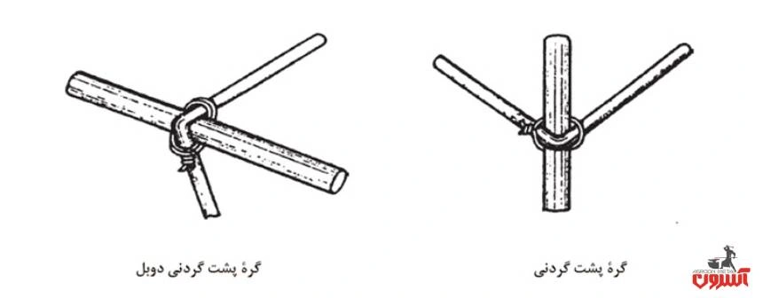 گره پشت گردنی