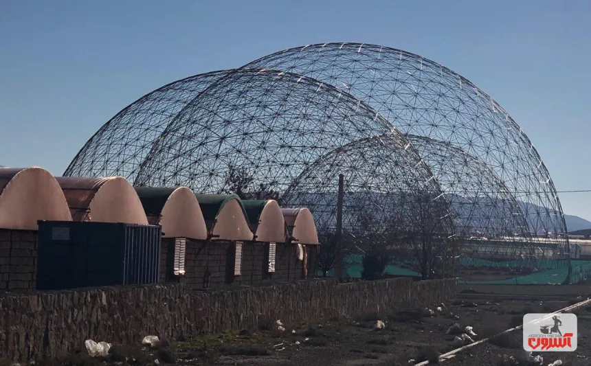 سازه پوسته ای